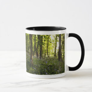 Bluebells In A Forest Mug