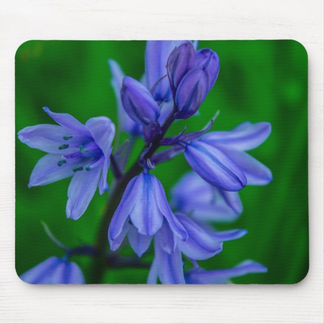 Bluebells Mousemat (Front)