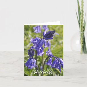 bluebells notecard