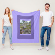 Bluebells on a rocky hillside 