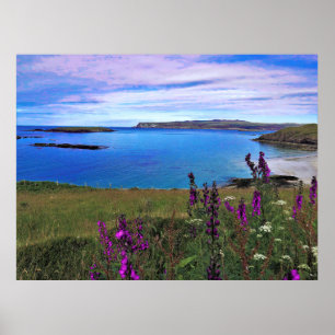 Bluebells on the Coast Poster