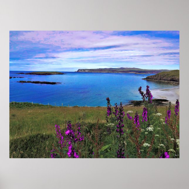 Bluebells on the Coast Poster (Front)