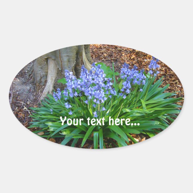 BLUEBELLS ~ Oval Sticker (Front)