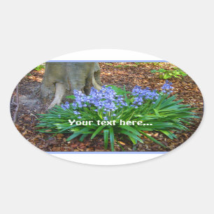 BLUEBELLS ~ Oval Sticker