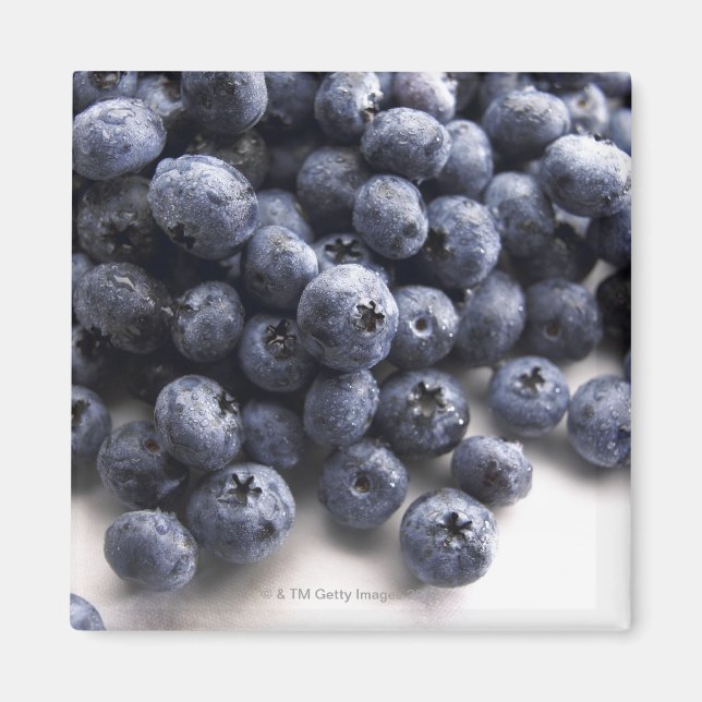 Blueberries 2 magnet (Front)