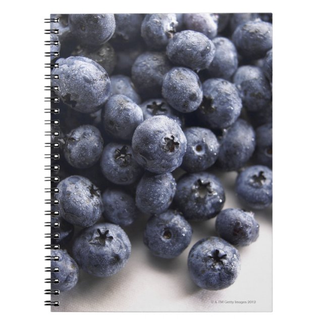Blueberries 2 notebook (Front)