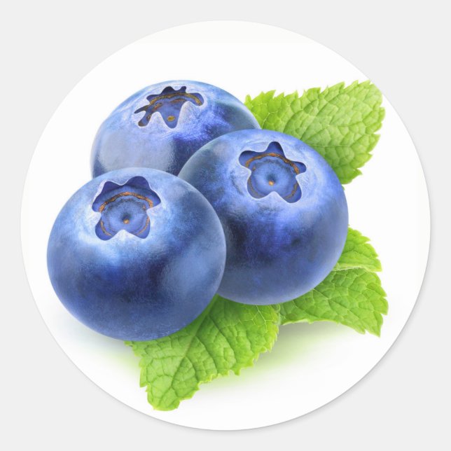 Blueberries and mint classic round sticker (Front)