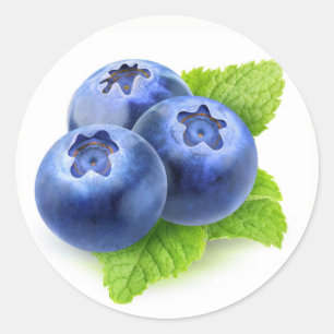Blueberries and mint classic round sticker