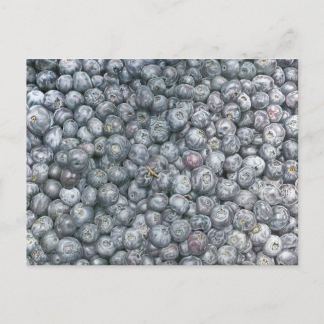 Blueberries Art Postcard (Front)