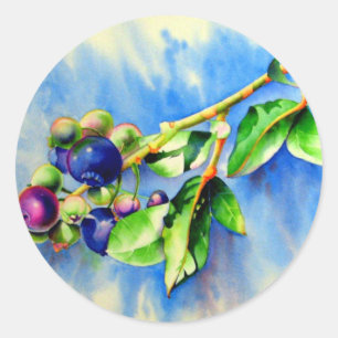 Blueberries Classic Round Sticker