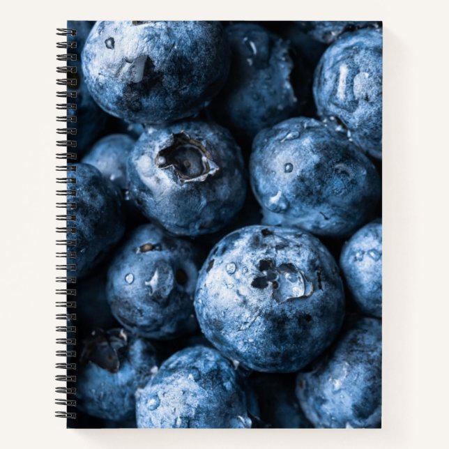 Blueberries Fruit Notebook (Front)