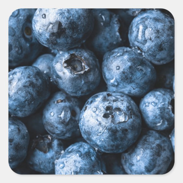Blueberries Fruit Square Sticker (Front)