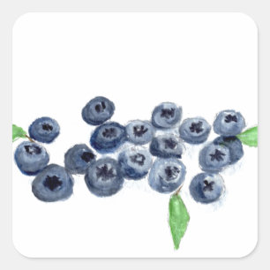 Blueberries fruits kitchen decor square sticker