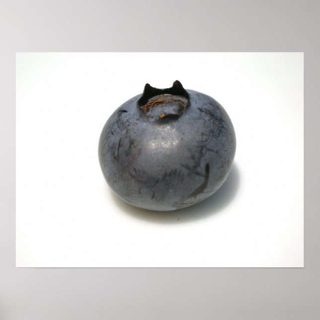 Blueberries I have Known 13 Poster (Front)