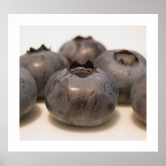 Blueberries I have Known 18 Poster (Front)