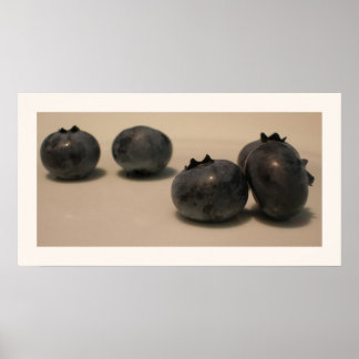 Blueberries I have Known 7 Poster