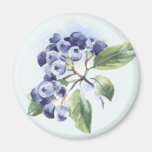 Blueberries Magnet