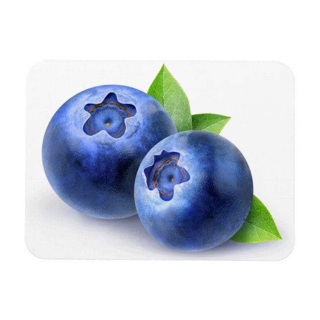 Blueberries Magnet (Horizontal)