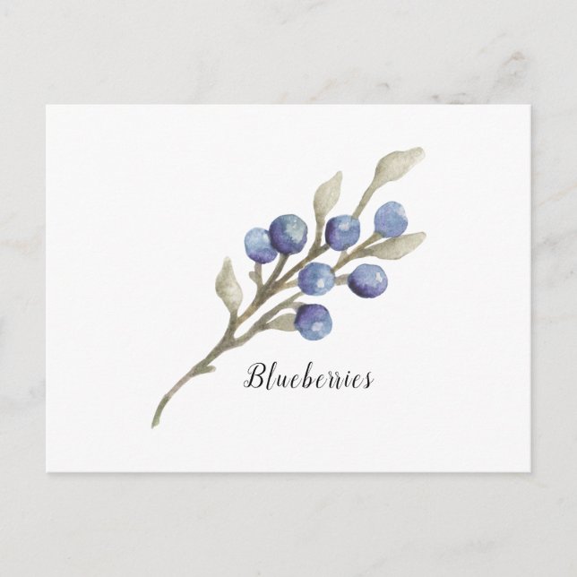 Blueberries on Branch Postcard (Front)