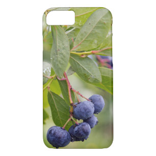 blueberries on bush iPhone 8/7 case