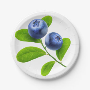 Blueberries Paper Plate