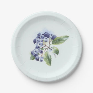 Blueberries Paper Plate