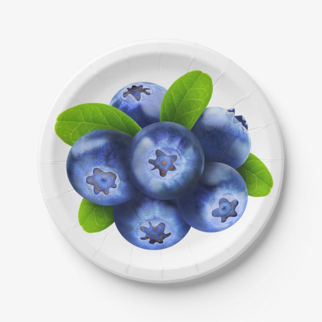 Blueberries Paper Plate (Front)
