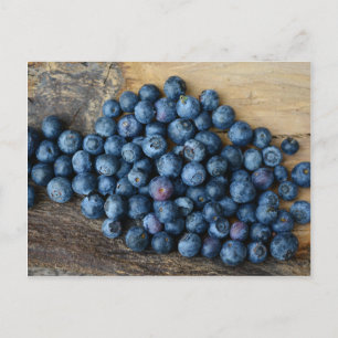 Blueberries Postcard