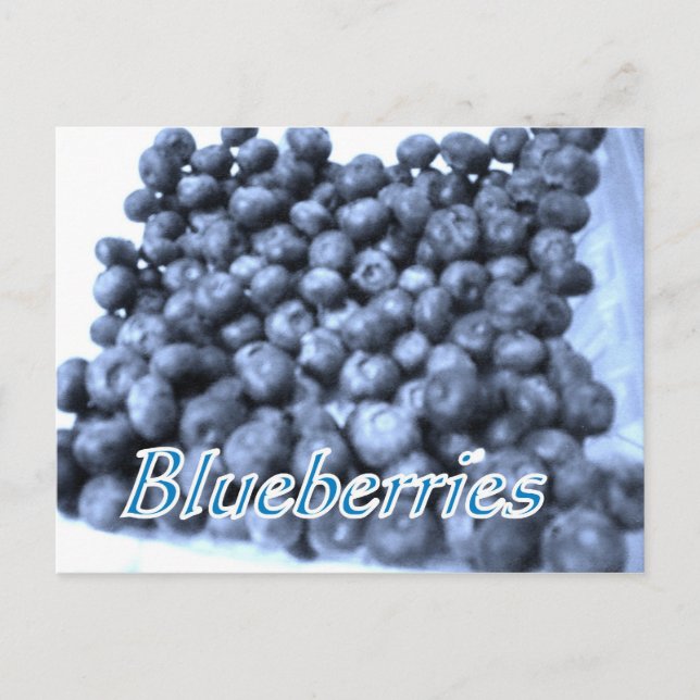 blueberries postcard (Front)