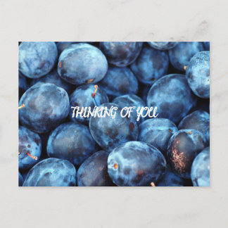 BLUEBERRIES POSTCARD