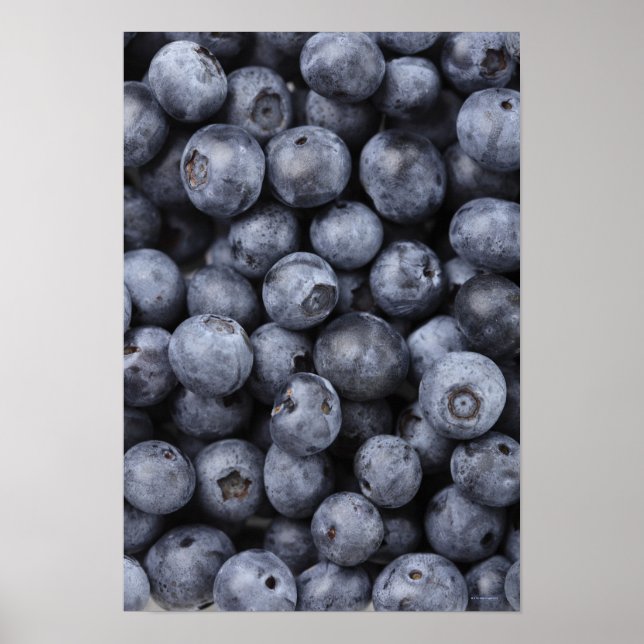Blueberries Poster (Front)