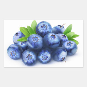 Blueberries Rectangular Sticker