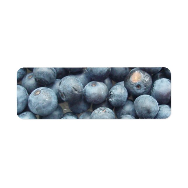 Blueberries Return Address Label (Front)