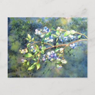 Blueberries, romantic fruit Watercolor painting Postcard
