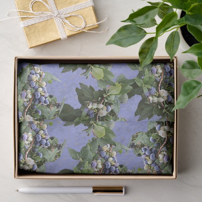 Blueberries! Tissue Paper (Gift)