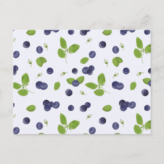 Blueberries Watercolor Blueberry Blossoms Foliage Postcard
