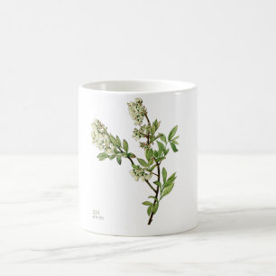 Blueberry blossom coffee mug