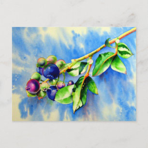 Blueberry branch, watercolor painting postcard