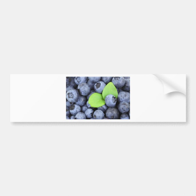 BLUEBERRY BUMPER STICKER (Front)