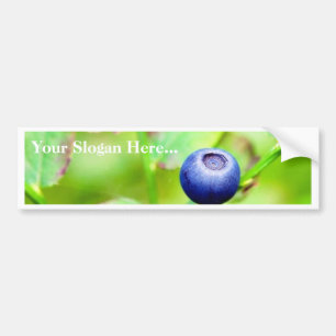 Blueberry Bumper Sticker