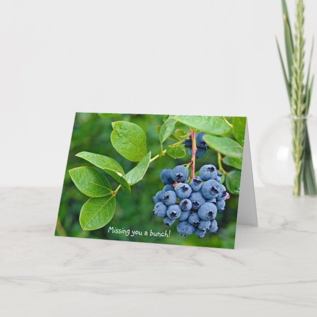 blueberry bunch for Missing You Card (Front)