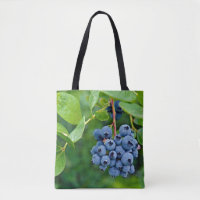 blueberry bunch