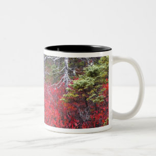 Blueberry bushes and pines Two-Tone coffee mug