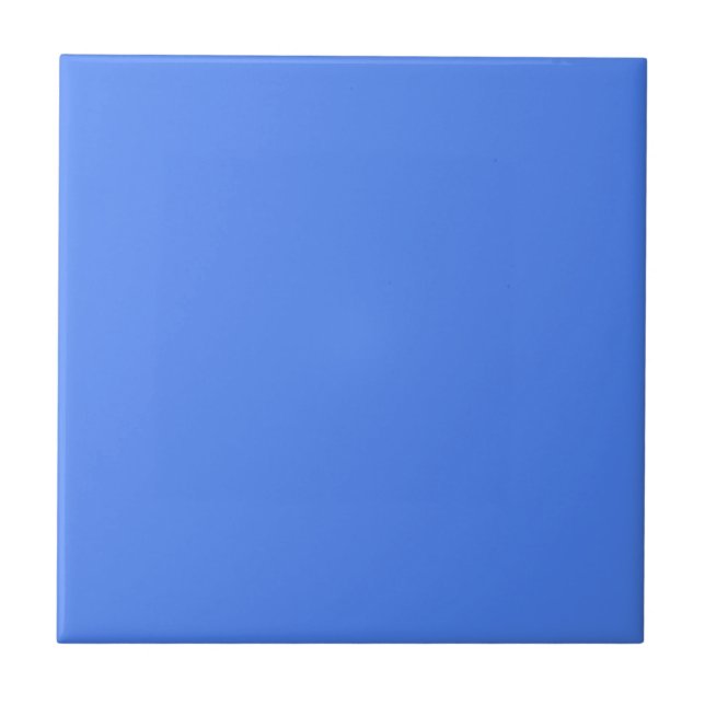 Blueberry Ceramic Tile (Front)