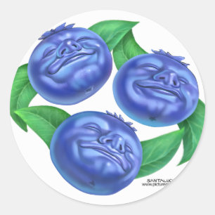 blueberry classic round sticker