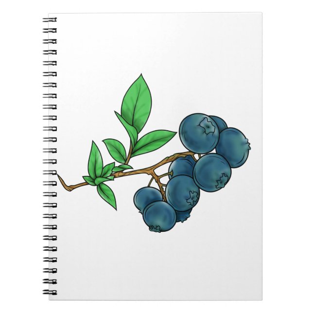 blueberry drawing notebook (Front)