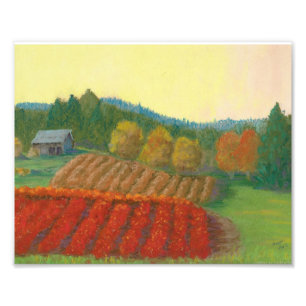 Blueberry Farm on 99 Photo Print