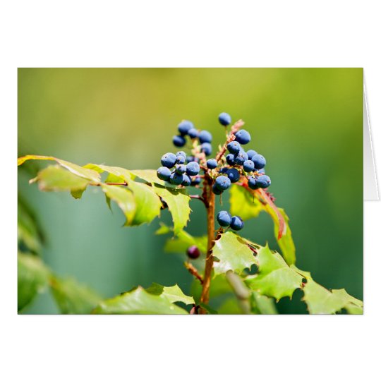 Blueberry II Card