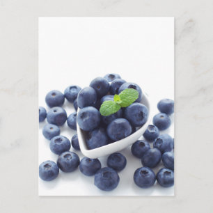 Blueberry isolated on white postcard