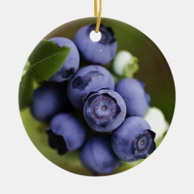 blueberry lover ceramic tree decoration (Front)